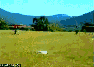 http://img.pr0gramm.com/2012/11/funny-gifs-parachute-deployed-a-bit-too-early.gif
