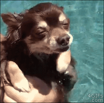 http://24.media.tumblr.com/89b9175078e52a0989a765a3fc84cb6a/tumblr_mr89jotjqy1qdlh1io1_400.gif
