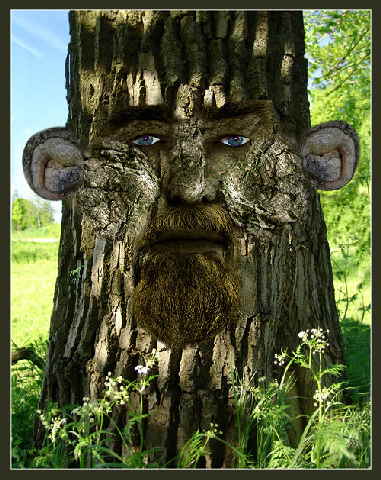 http://www.mara-thoene.de/assets/images/autogen/a_Baum-Geist.jpg