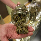 http://images.publicradio.org/content/2010/02/19/20100219_medical-marijuana-91997595_18.jpg
