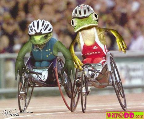 http://www.wayodd.com/funny-pictures2/funny-pictures-the-frog-wheelchair-races-lLM.jpg