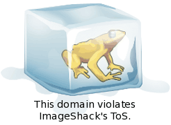 http://img651.imageshack.us/img651/2289/37570.gif