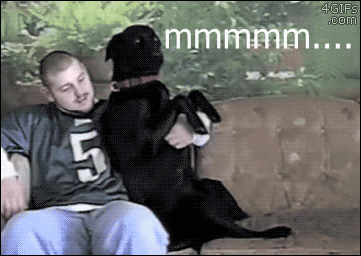 http://31.media.tumblr.com/42125a19fb1a1bb7cf2afe4f9cd1d351/tumblr_mqu1zfCxfB1qdlh1io1_400.gif
