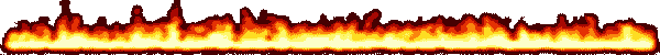 http://bierschutzverein.bi.funpic.de/Linie_Feuer.gif