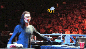 http://www.epiclol.com/cdn/pictures/2011/12/skrillex-vs-a-bee_1325220266_epiclolcom.jpg