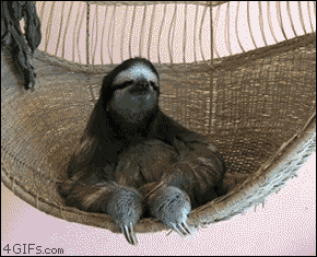http://forgifs.com/gallery/d/160787-4/Sloth-hammock-deal-with-it.gif