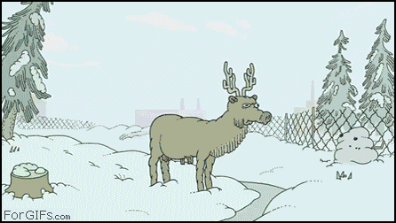 http://forgifs.com/gallery/d/191438-1/Psychedelic_reindeer.gif