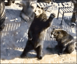 http://forgifs.com/gallery/d/65623-3/Bear_waves_hollas.gif