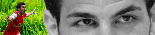 http://img100.imageshack.us/img100/839/fabregassignatur.gif
