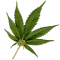 http://www.en.kolobok.us/smiles/artists/just_cuz/JC_spliff.gif
