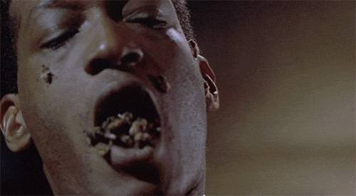 http://31.media.tumblr.com/tumblr_mcj1gr5LGB1qedb29o1_500.gif