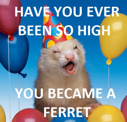 http://i.imgur.com/y80Lu.jpg